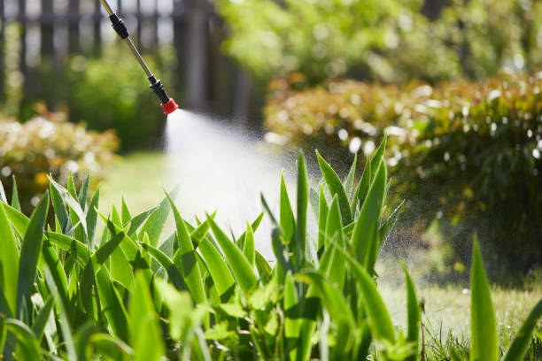 24/7 Emergency Fumigation Services experts in Fayetteville, NC