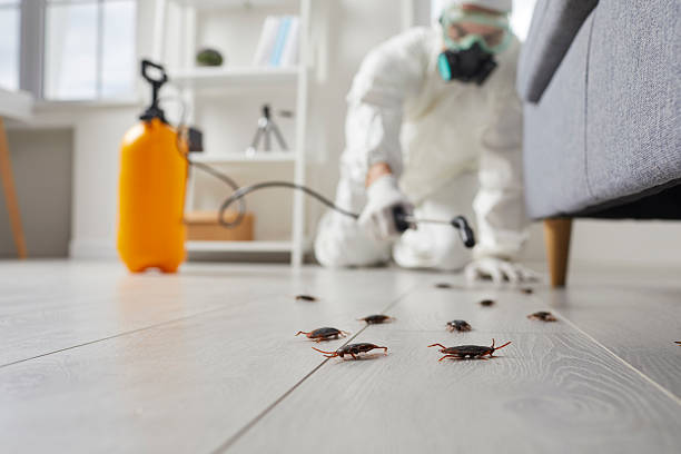 Trusted Fumigation Services service in Fayetteville, NC - Nex Pest Control